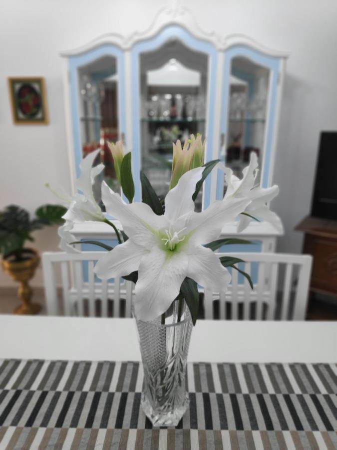 La Orquidea Apartment Вега де Сан Матео Екстериор снимка